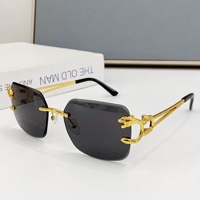 Сонцезахисні окуляри без оправи Tiger чорні із золотом фото